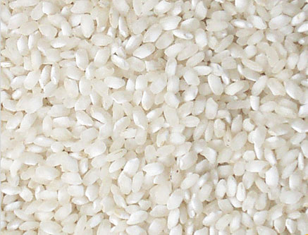 arroz-bomba Arroz Bomba