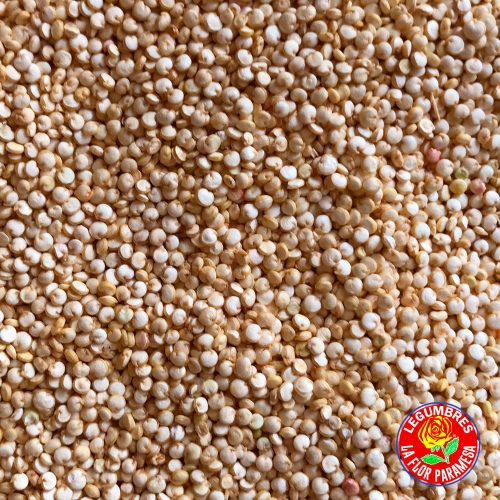 Legumbres León | La Flor Paramesa | Quinoa Blanca